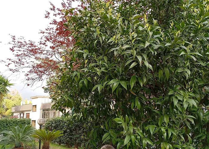 Casa Di Toto Bed and Breakfast Σαλέρνο