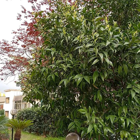 Casa Di Toto Couette-café Salernes